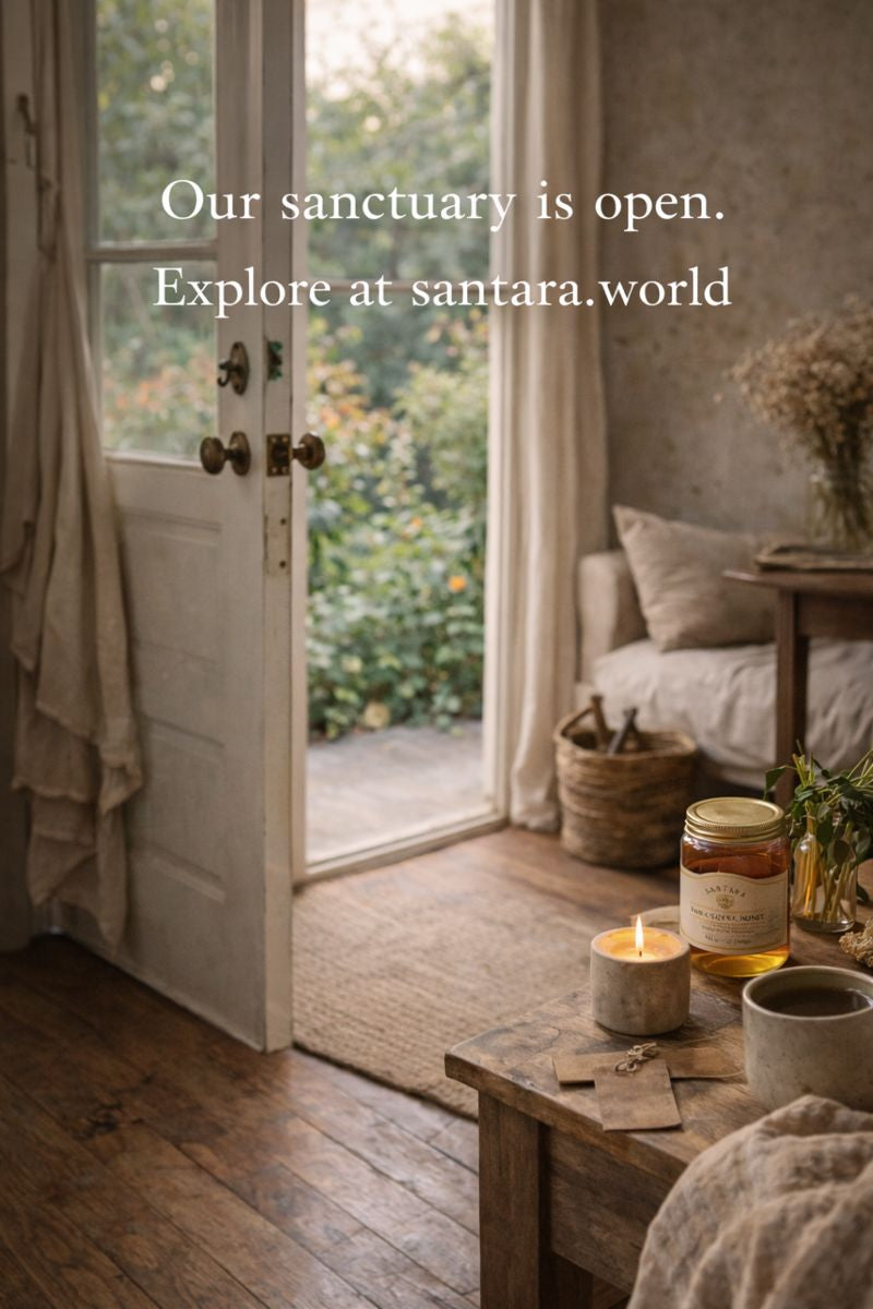 The Sanctuary Is Open: Creating Balance in a Demanding World